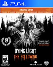 DYING LIGHT - THE FOLLOWING
